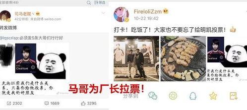 粉丝吃瓜直播间,粉丝吃瓜，揭秘网红幕后故事