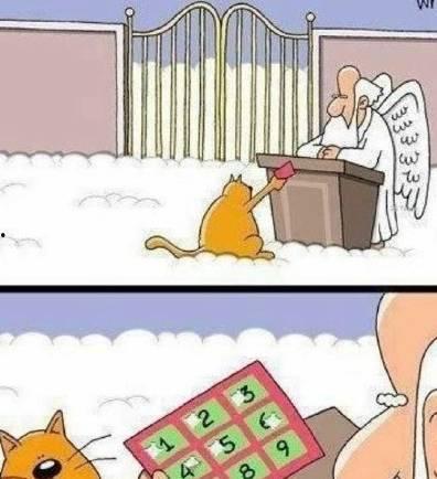 搞笑吃瓜段子开场,吃瓜群众狂欢时刻！