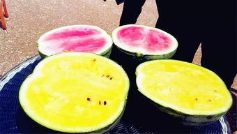 吃瓜爆料四大瓜,四大瓜事件背后的真相与启示