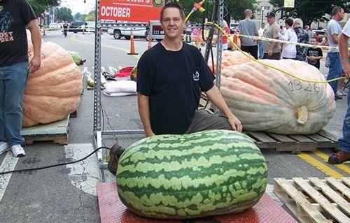 吃瓜会晕吗,吃瓜为何会让人晕眩之谜