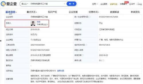 吃瓜中心 网站,网络舆论场中的热点追踪与深度解析