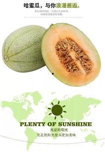 哈密瓜干可以这么吃,哈密瓜干的多重美味吃法探索