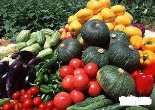 春天吃的瓜菜,品味时令美味