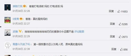 吃瓜情报处评论,吃瓜情报处评论背后的真相与八卦