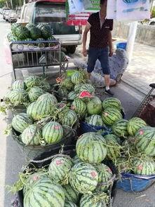 济宁微山吃瓜事件