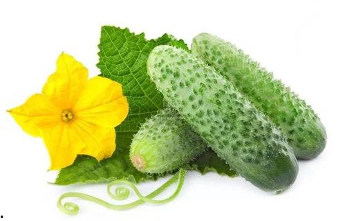 温锦吃瓜系统,揭秘娱乐圈幕后风云